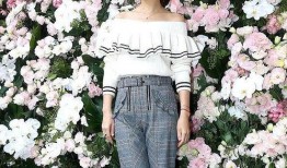 刘心如最新动态爆料,揭秘娱乐圈不为人知的幕后真相