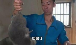 淮南大光头爆料视频最新,惊人内幕曝光