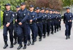 淄博警察爆料案件最新进展,案情明朗，疑云逐步揭开