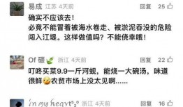 最新爆料集锦视频下载,视频下载背后的秘密与趋势