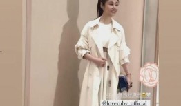 刘心如最新动态爆料,揭秘娱乐圈不为人知的幕后真相