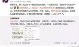 东莞王先生爆料案件最新,真相大白，疑云散去
