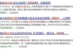 安庆网民最新爆料,揭秘背后惊人真相！