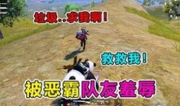 特种战集合最新爆料,揭秘最新战力曝光，神秘装备亮相引关注