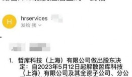 阿里爆料裁员最新消息,揭秘裁员背后的真相与影响